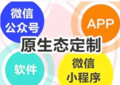 AI 应用定制开发服务｜企业智能系统搭建 功能开发 优化升级